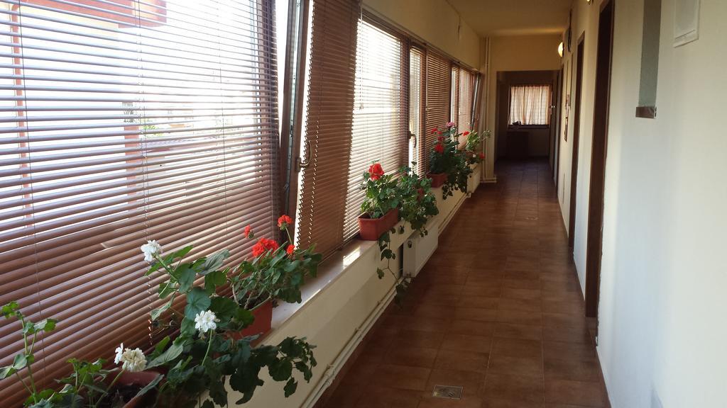 Hostel Nova Route Năvodari Eksteriør bilde